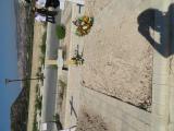 image of grave number 736077